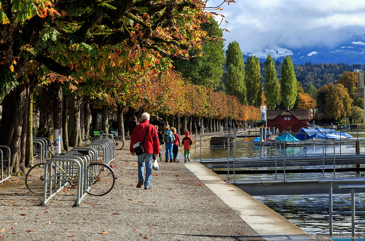 Lucerne